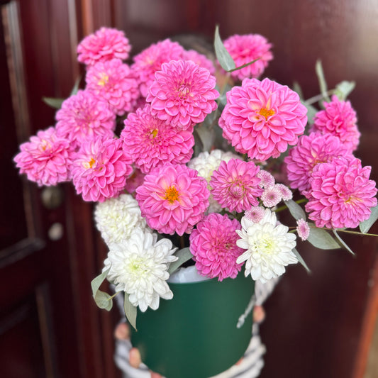 გეორგინების კომპოზიცია