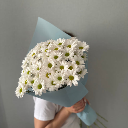 გვრილების დიდი თაიგული L